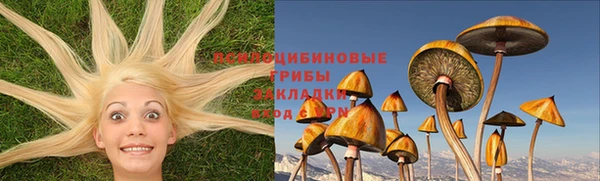 альфа пвп Верхнеуральск