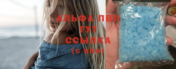мдпв Бородино