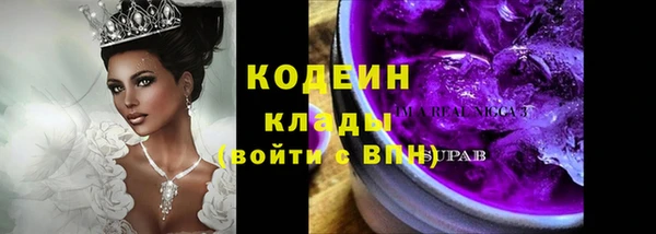 дурь Богородицк