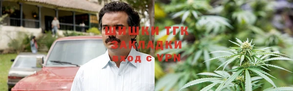 мдпв Бородино