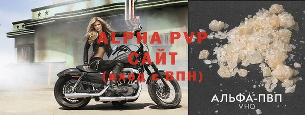 мдпв Бородино