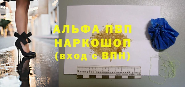 мдпв Бородино